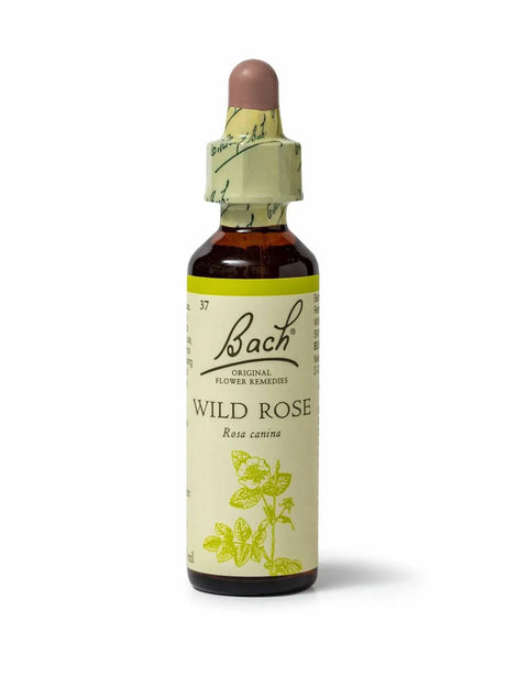 Sealed dropper bottle of Bach™ Original Flower Remedy Wild Rose 20ml on a white background. The bottle reads " Bach™  Original Flower Remedies Wild Rose - Rosa canina" and includes a light green illustration of the flower at the bottom.